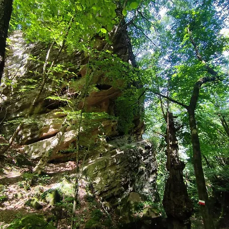 D'aiano Frühstückspension