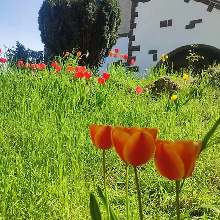 D'aiano Bed & Breakfast