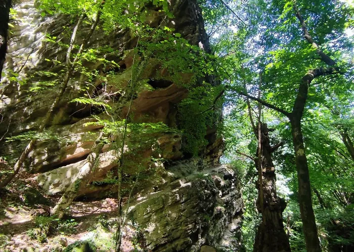 D'aiano Nocleg ze śniadaniem