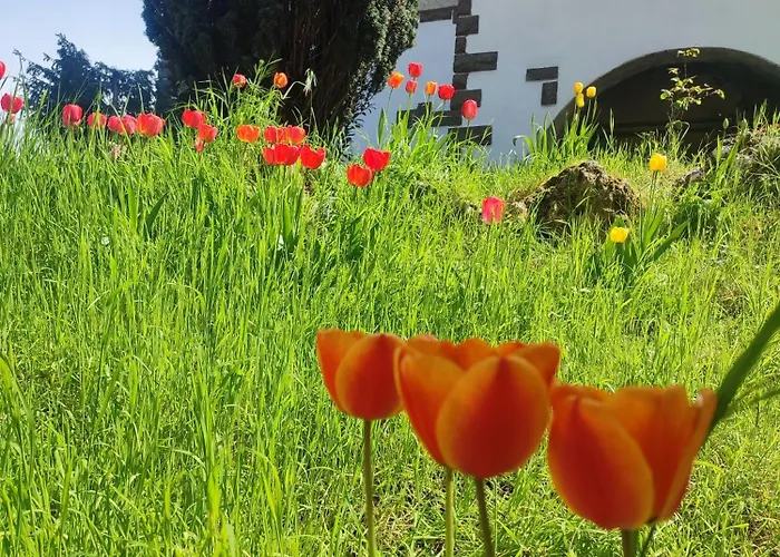 D'aiano Bed & Breakfast